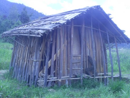 Sebuah Rumah Adat Suku Mee di Paniai Emaaowa  MANA WUU 